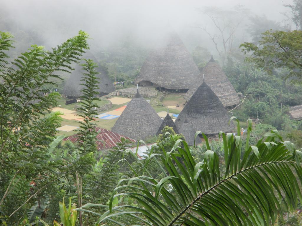 Mjr Ticketing Guest House Ruteng Exterior photo